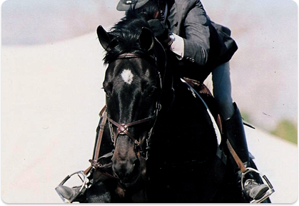 Rings Twice & Shelley Campf